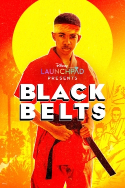 Watch Free Black Belts Movies HD Online Soap2Day Site