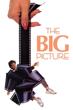 Watch Free The Big Picture Movies HD Online Soap2Day Site