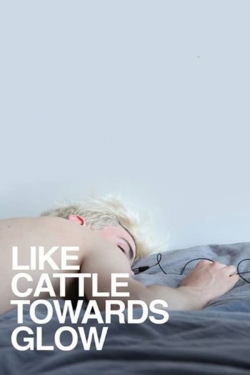 Watch Free Like Cattle Towards Glow Movies HD Online Soap2Day Site