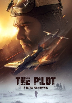 Watch Free The Pilot. A Battle for Survival Movies HD Online Soap2Day Site