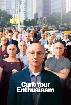 Watch Free Larry David: Curb Your Enthusiasm Movies HD Online Soap2Day Site