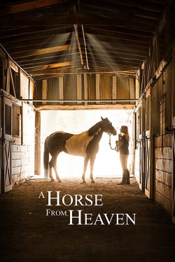 Watch Free A Horse from Heaven Movies HD Online Soap2Day Site